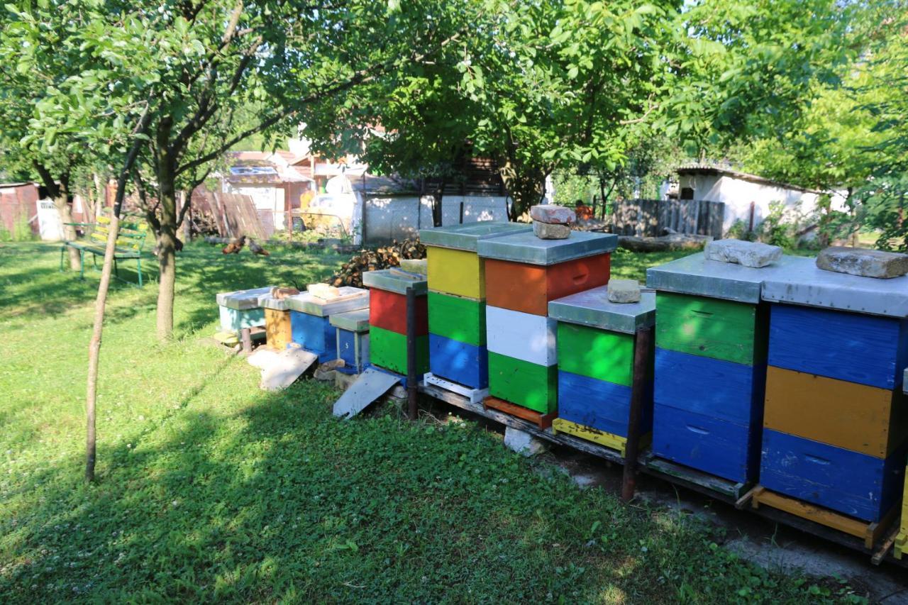 Apartman Rudnik Vrdnik Extérieur photo